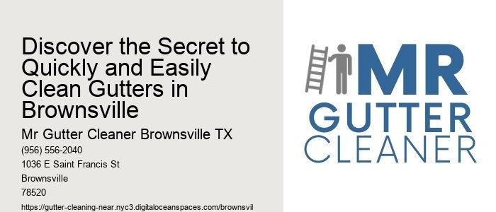 Discover the Secret to Quickly and Easily Clean Gutters in Brownsville