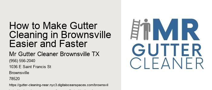 How to Make Gutter Cleaning in Brownsville Easier and Faster 