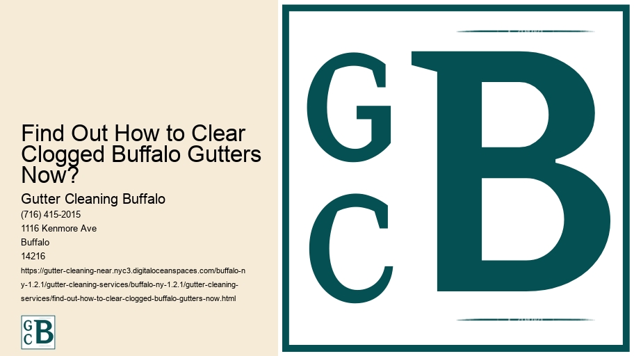 Find Out How to Clear Clogged Buffalo Gutters Now?