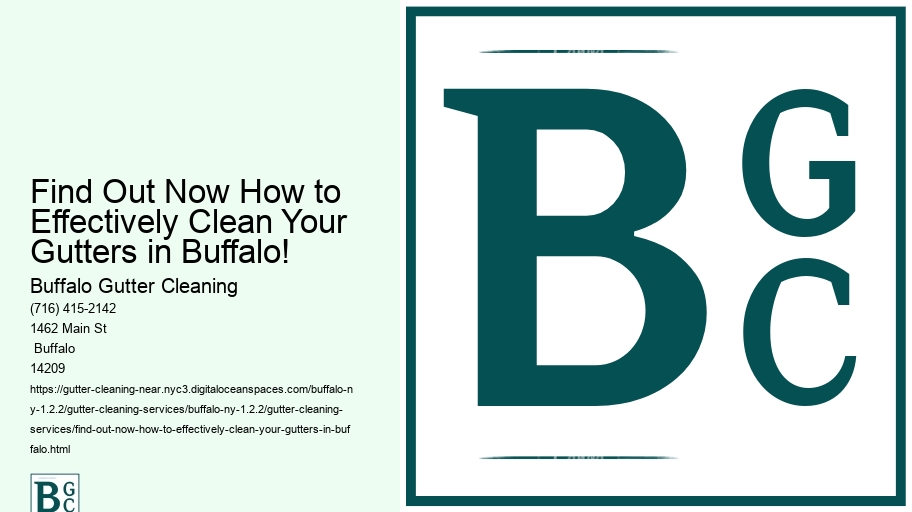 Find Out Now How to Effectively Clean Your Gutters in Buffalo!