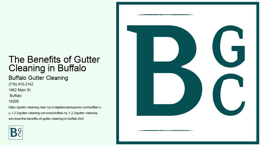 The Benefits of Gutter Cleaning in Buffalo 