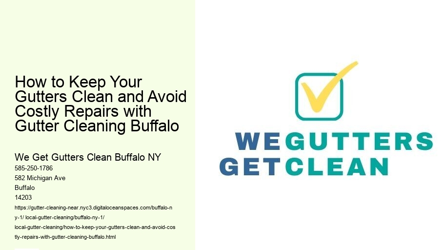How to Keep Your Gutters Clean and Avoid Costly Repairs with Gutter Cleaning Buffalo 