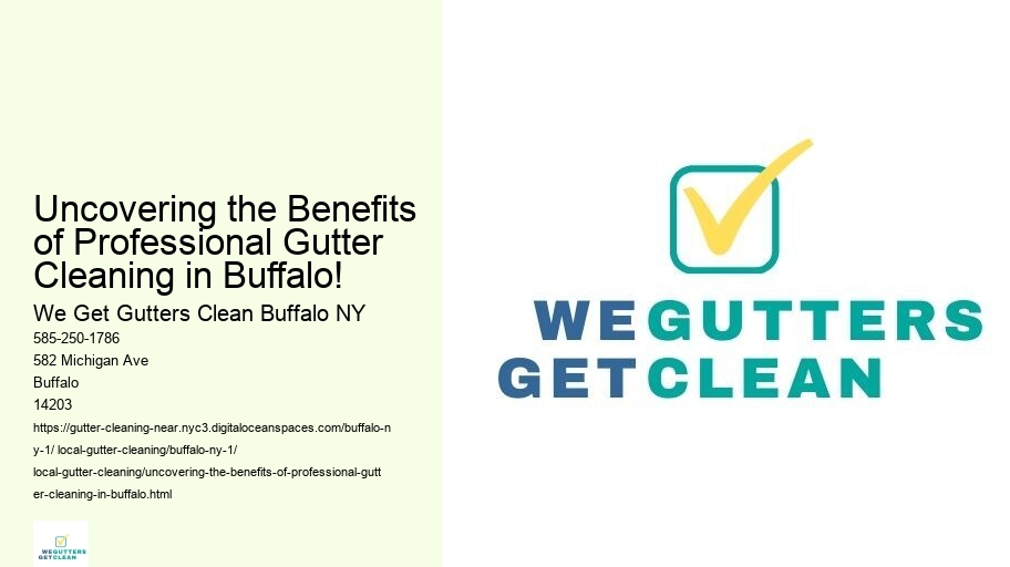 Uncovering the Benefits of Professional Gutter Cleaning in Buffalo!