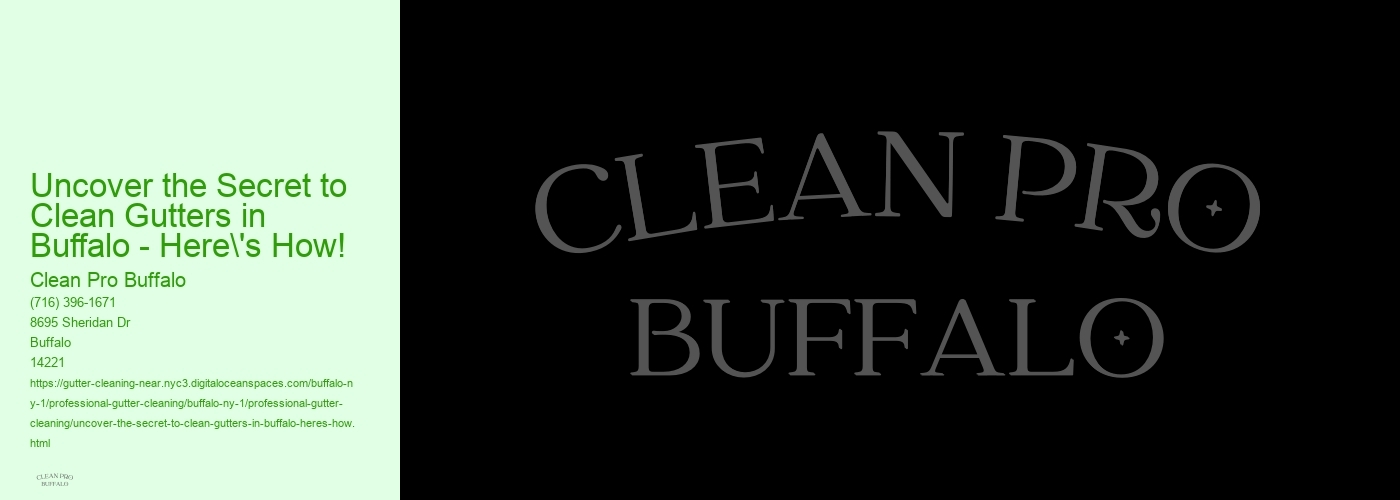 Uncover the Secret to Clean Gutters in Buffalo - Here's How! 