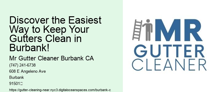 Discover the Easiest Way to Keep Your Gutters Clean in Burbank!
