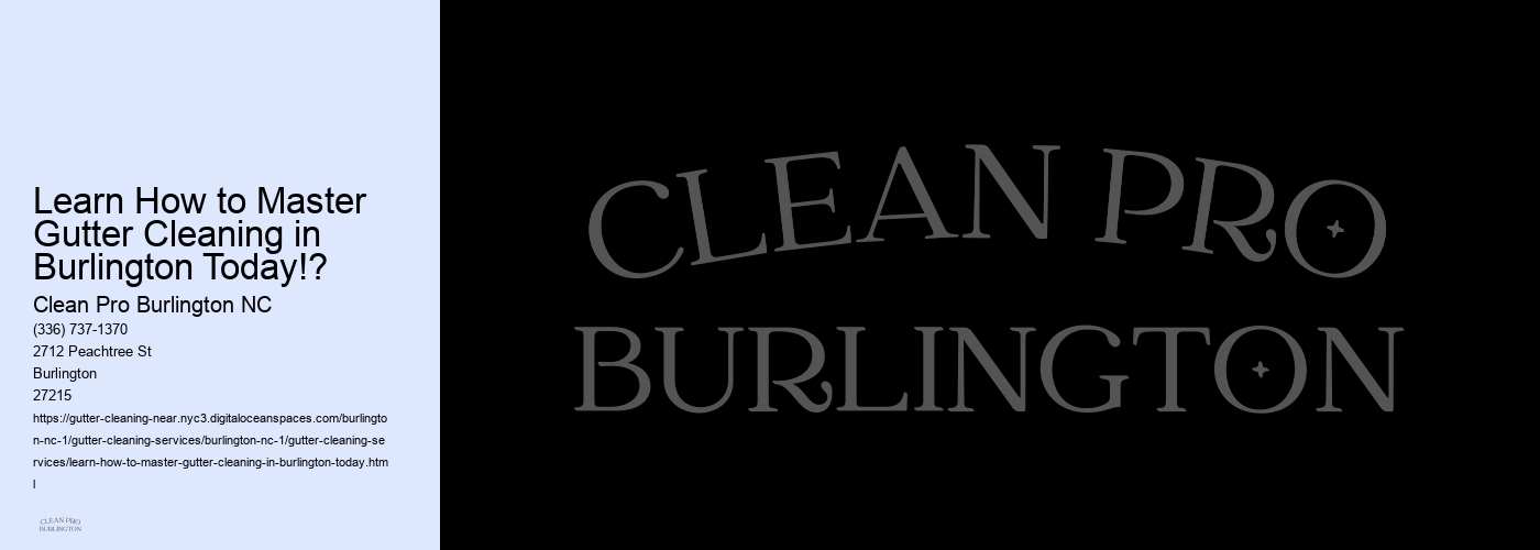 Learn How to Master Gutter Cleaning in Burlington Today!?