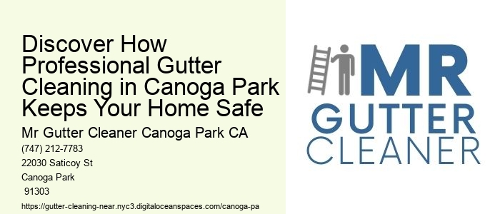 Discover How Professional Gutter Cleaning in Canoga Park Keeps Your Home Safe