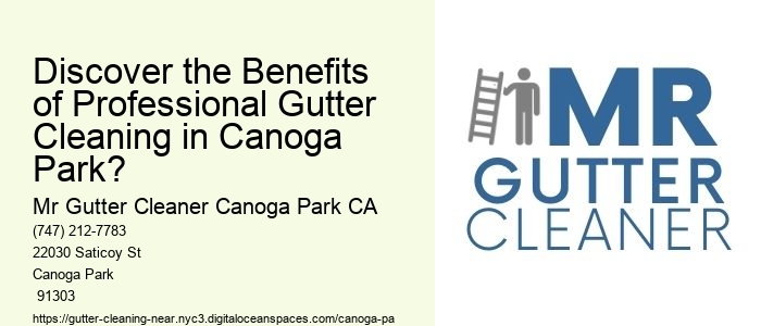 Discover the Benefits of Professional Gutter Cleaning in Canoga Park?