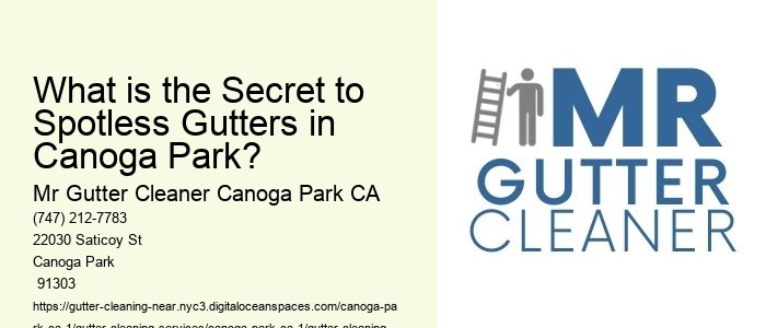 What is the Secret to Spotless Gutters in Canoga Park? 