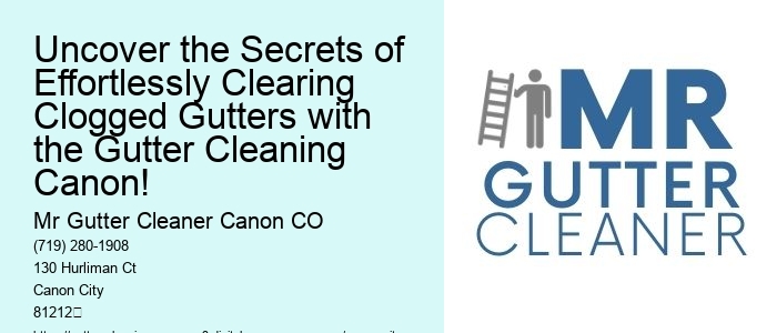 Uncover the Secrets of Effortlessly Clearing Clogged Gutters with the Gutter Cleaning Canon!