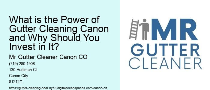 What is the Power of Gutter Cleaning Canon and Why Should You Invest in It?