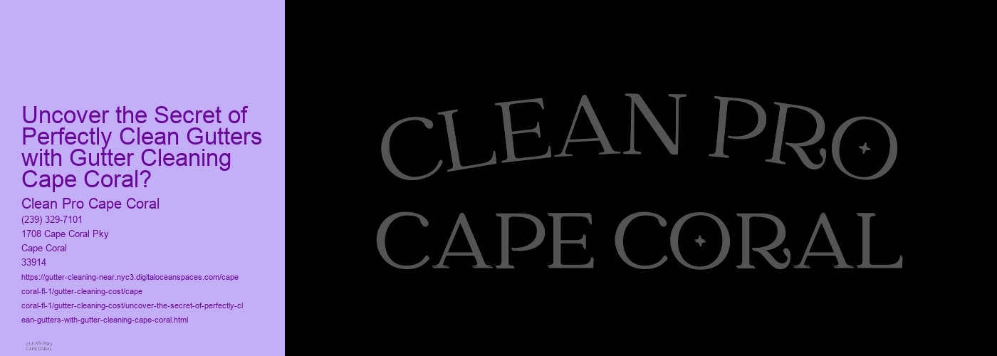 Uncover the Secret of Perfectly Clean Gutters with Gutter Cleaning Cape Coral?