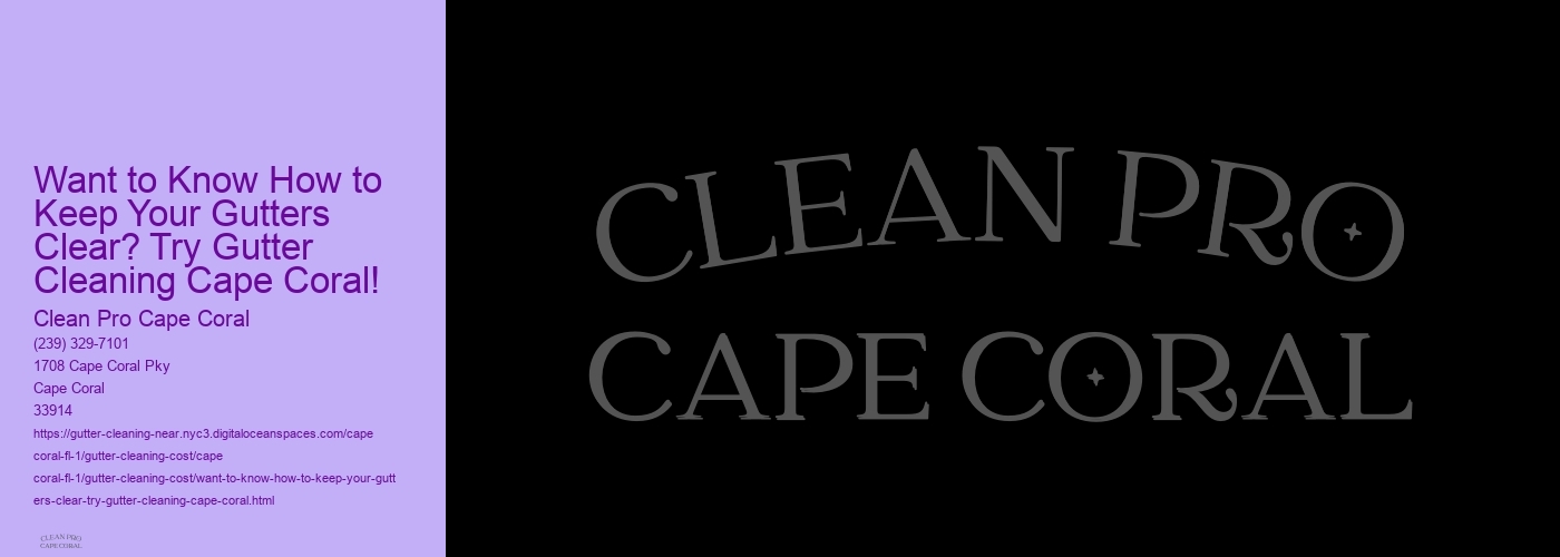 Want to Know How to Keep Your Gutters Clear? Try Gutter Cleaning Cape Coral! 