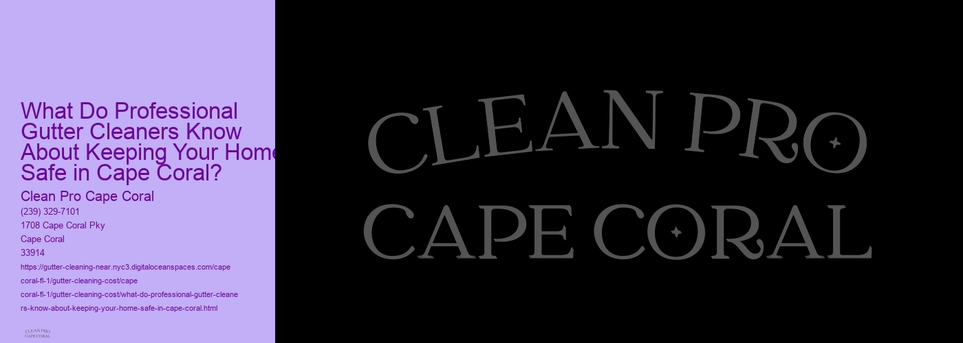 What Do Professional Gutter Cleaners Know About Keeping Your Home Safe in Cape Coral?