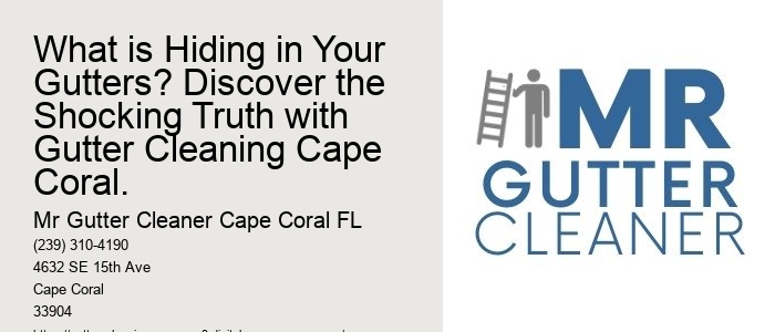 What is Hiding in Your Gutters? Discover the Shocking Truth with Gutter Cleaning Cape Coral.