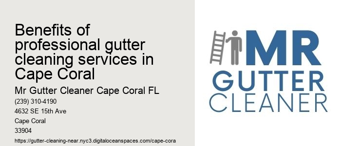Benefits of professional gutter cleaning services in Cape Coral
