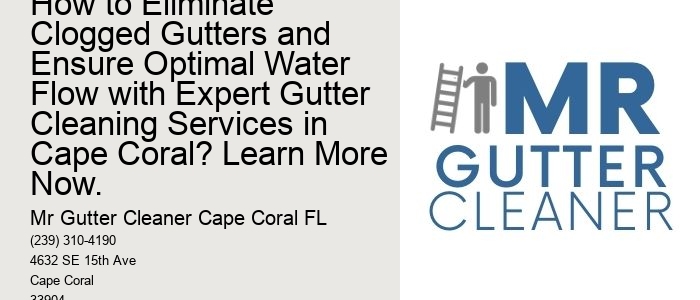 How to Eliminate Clogged Gutters and Ensure Optimal Water Flow with Expert Gutter Cleaning Services in Cape Coral? Learn More Now.