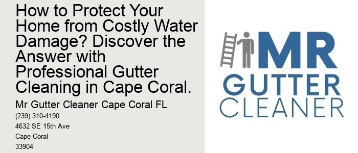 How to Protect Your Home from Costly Water Damage? Discover the Answer with Professional Gutter Cleaning in Cape Coral.