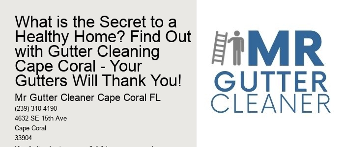 What is the Secret to a Healthy Home? Find Out with Gutter Cleaning Cape Coral - Your Gutters Will Thank You!