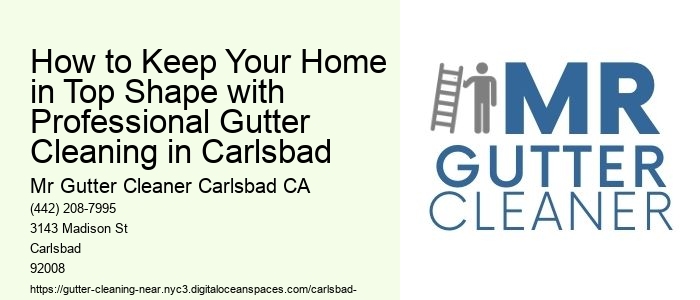 How to Keep Your Home in Top Shape with Professional Gutter Cleaning in Carlsbad 