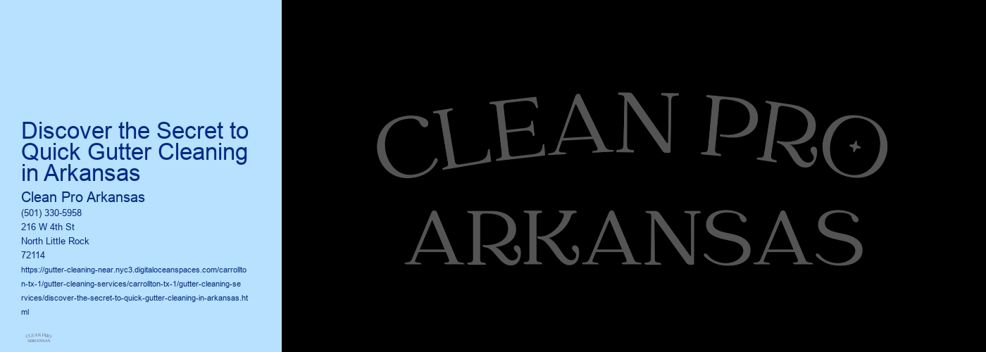 Discover the Secret to Quick Gutter Cleaning in Arkansas 