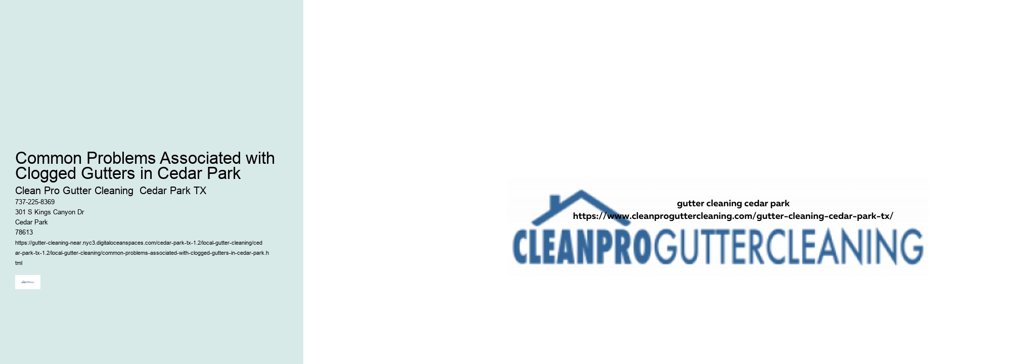 Common Problems Associated with Clogged Gutters in Cedar Park 