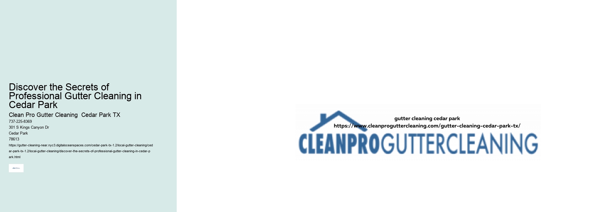 Discover the Secrets of Professional Gutter Cleaning in Cedar Park 