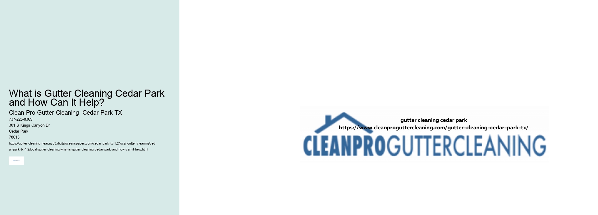 What is Gutter Cleaning Cedar Park and How Can It Help? 