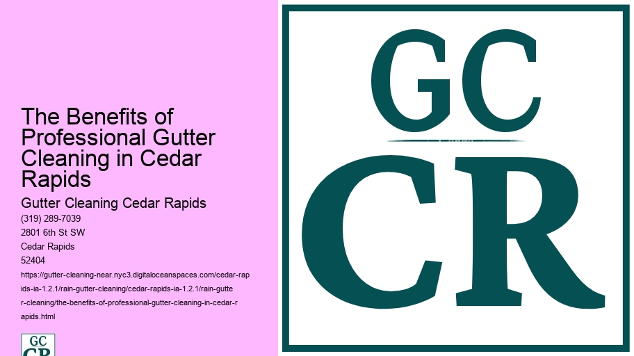 The Benefits of Professional Gutter Cleaning in Cedar Rapids 
