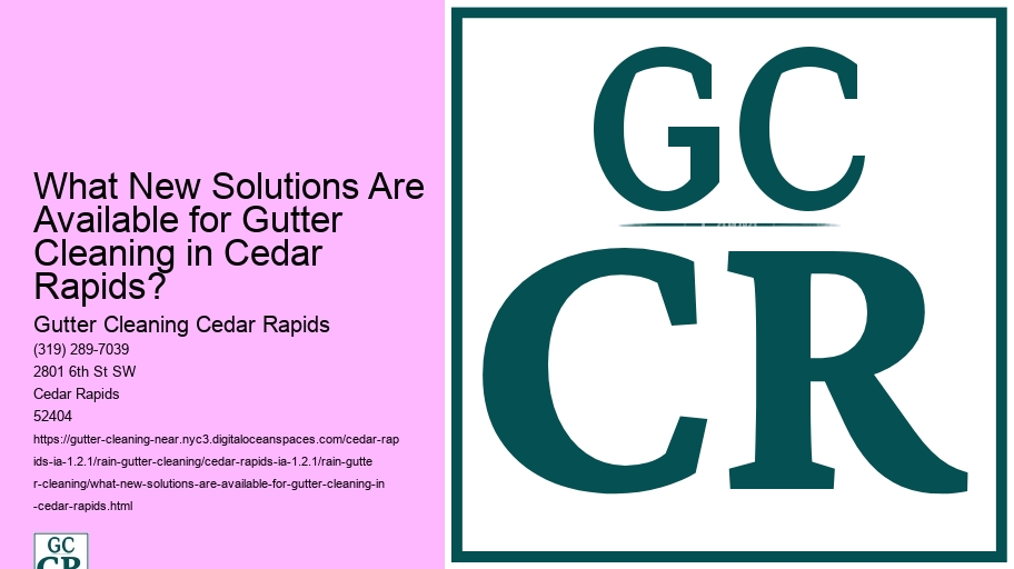 What New Solutions Are Available for Gutter Cleaning in Cedar Rapids?