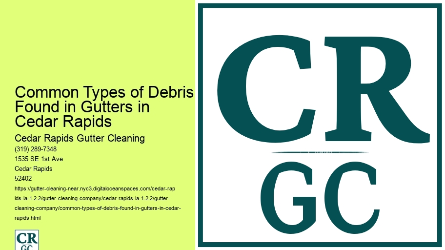 Common Types of Debris Found in Gutters in Cedar Rapids