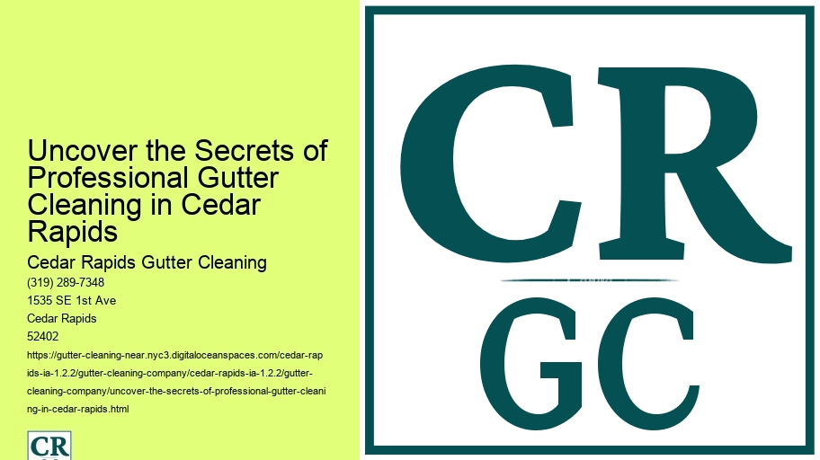 Uncover the Secrets of Professional Gutter Cleaning in Cedar Rapids 