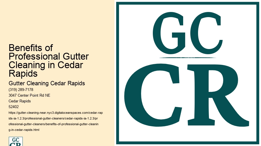 Benefits of Professional Gutter Cleaning in Cedar Rapids 