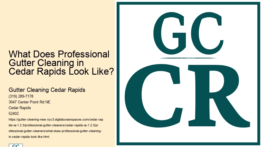 What Does Professional Gutter Cleaning in Cedar Rapids Look Like? 