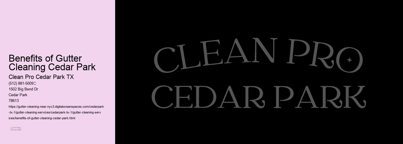 Benefits of Gutter Cleaning Cedar Park 