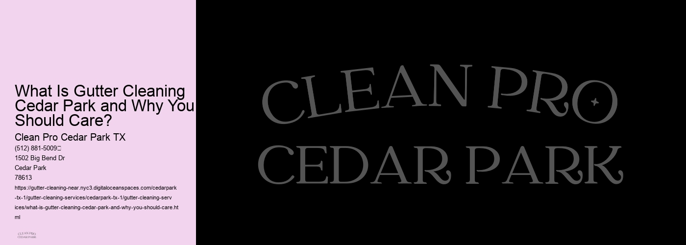 What Is Gutter Cleaning Cedar Park and Why You Should Care? 