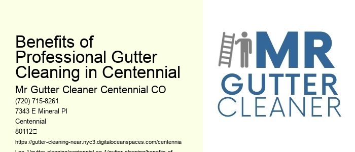 Benefits of Professional Gutter Cleaning in Centennial 