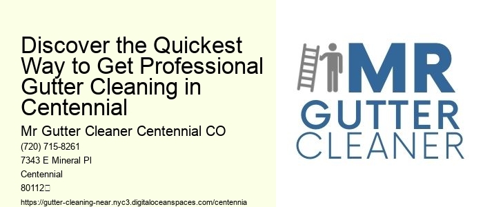 Discover the Quickest Way to Get Professional Gutter Cleaning in Centennial