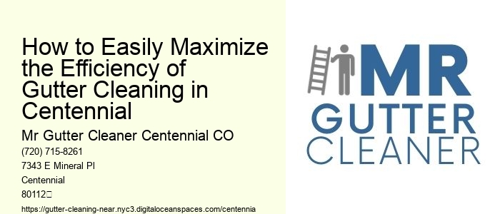 How to Easily Maximize the Efficiency of Gutter Cleaning in Centennial 