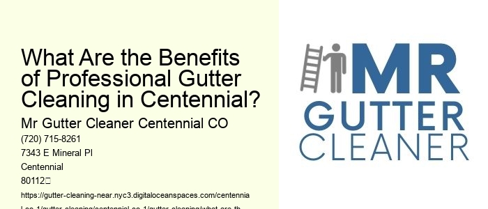 What Are the Benefits of Professional Gutter Cleaning in Centennial?