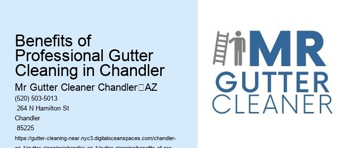 Benefits of Professional Gutter Cleaning in Chandler 