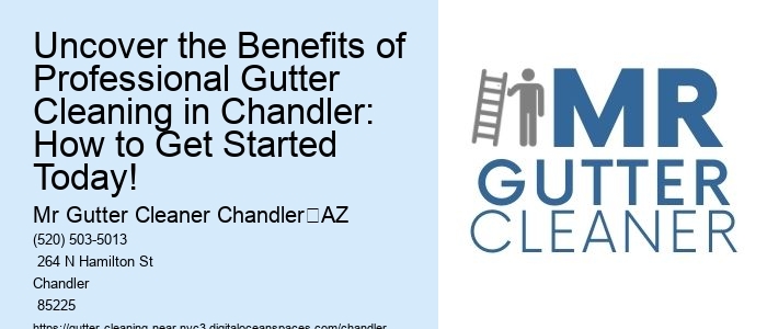 Uncover the Benefits of Professional Gutter Cleaning in Chandler: How to Get Started Today!