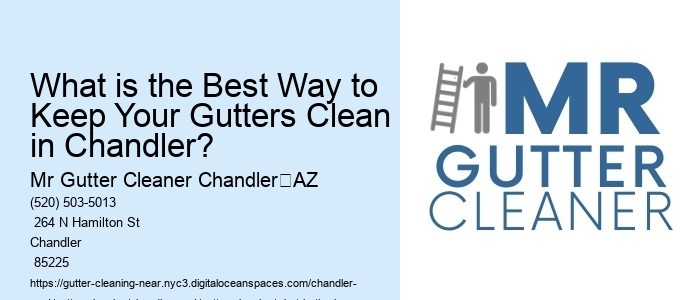 What is the Best Way to Keep Your Gutters Clean in Chandler?