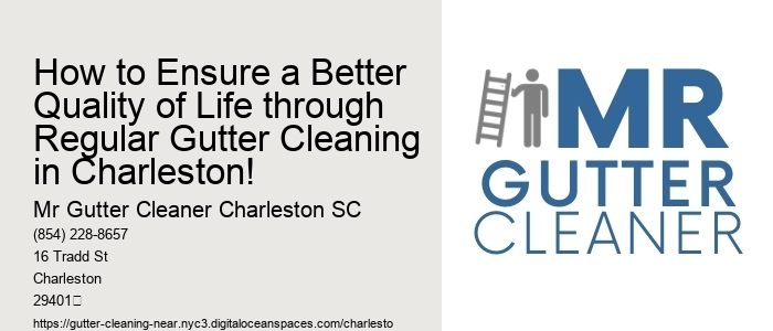 How to Ensure a Better Quality of Life through Regular Gutter Cleaning in Charleston!