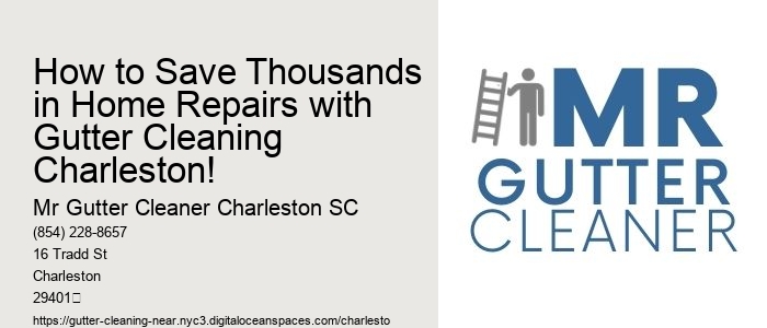 How to Save Thousands in Home Repairs with Gutter Cleaning Charleston!