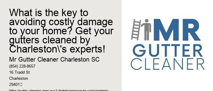 What is the key to avoiding costly damage to your home? Get your gutters cleaned by Charleston's experts!