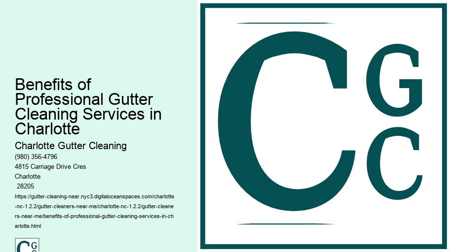Benefits of Professional Gutter Cleaning Services in Charlotte 