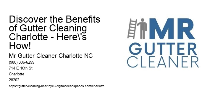 Discover the Benefits of Gutter Cleaning Charlotte - Here's How!