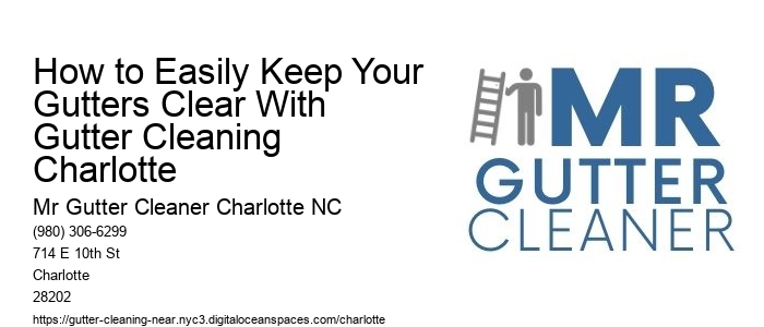How to Easily Keep Your Gutters Clear With Gutter Cleaning Charlotte 