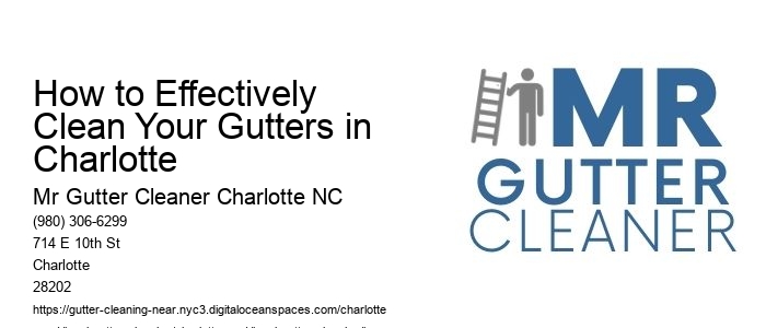 How to Effectively Clean Your Gutters in Charlotte 